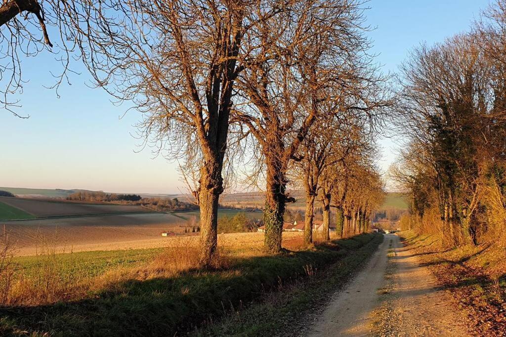 Le Bellevue A 1 H 30 De Paris Et 20 Km De Troyes Villa Estissac Eksteriør bilde